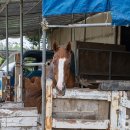 고양자동차클럽 이미지