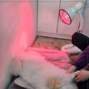 멍 핏 스튜디오 이미지