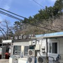 [포항 여남동] 포항 현지인로컬맛집/ 물회맛집 / 태화횟집 / 내돈내산후기