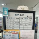 제주조천물고기 | [제주] 여름에 왜 해외가요 제주도가 있는데 ㅎ
