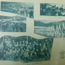 함백초등학교 이미지