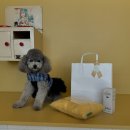 빌라드루이 이미지