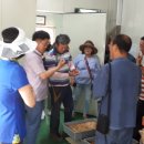 애란농장 이미지