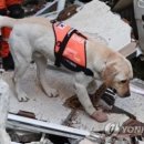 토백이
