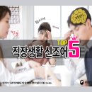 TOP 이미지