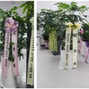 에이스행정사사무소 이미지