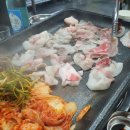 중문청춘돼지