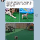 봉글봉글 이미지