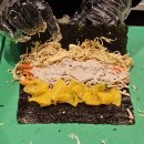 삼청당현대미아점