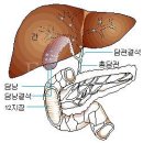 동인외과병원 이미지