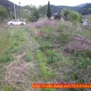 개울가펜션 이미지