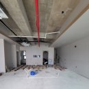 최선생안경 이미지