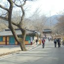 鷄龍山(충남 공주시 계룡면) [2024.02.13(화)] 이미지