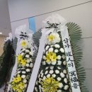 송탄중앙병원 이미지