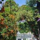 대봉1동 행정복지센터 이미지