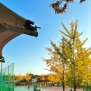 옥구인조잔디축구장 이미지