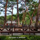 솔밭근린공원 이미지