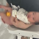 육아 필수템 포브베베 아기비데 사용 후기