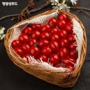 토마토 이미지