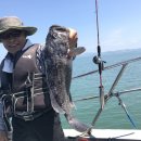 태안호스릴-6 | 충남 서해 국내 서울근교 당일치기 여행 갈만한곳 태안 안면도 우럭 배낚시 체험 추천