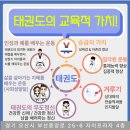 튼튼태권도 이미지