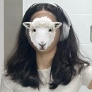 서울기독대학교 치유상담대학원 | 기면증 환자의 서울대 대학원 석박통합과정 3년차 내돈내산 후기