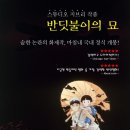 [DVD 코드3] '반딧불이의 묘' 성우진 이미지
