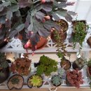 아랫기천 이미지