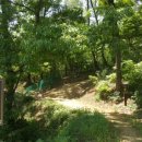 원수산MTB공원 이미지