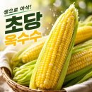 우가네 - 시흥시 정왕시장길 67 | 우가네