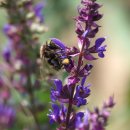 초막골 생태공원 이미지