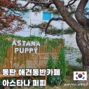 퍼피트리 | 동탄 애견동반카페 야외 놀이터 아스타나 퍼피 주말 나들이