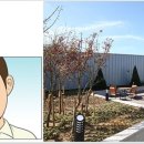 매송시스템 이미지
