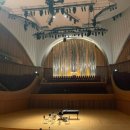 야나첵 스트링 콰르텟 내한공연 | 2025 야나첵 스트링 콰르텟 내한 공연| 롯데콘서트홀