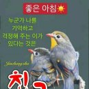 3월7일 간추린뉴스, 이미지