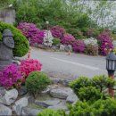 강화군 요양원 이미지