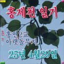 홍연2교 이미지