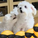 송차임 | November