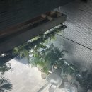 켈리앤 미서부여행 - 2. 멜로즈애비뉴, 버벌리힐즈, LACMA