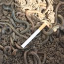 후산낚시터 이미지