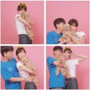 댕이픽업 이미지