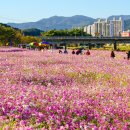 서천변 이미지