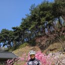 세레나농장 이미지