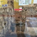 창녕생태곤충원 이미지