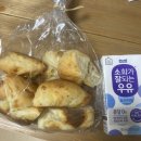 [제주6박7일] 3일차 올레길 11코스 &amp; 마노르블랑 / 여자 혼자 떠나는 뚜벅이 여행 일주일