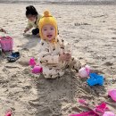 군산시-00539 | 뷰가 너무 좋았던 선유도 숙소 편백나무펜션:선유도 펜션 추천