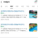 스피드모터삽 | 강아지 독채수영장 카페랄라 다녀옴