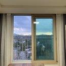 댕이 데이 이미지