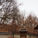 여주고구마 혁신 클러스트 사업단과 명성황후 생가 체험 후기
