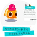 왕초보 여행영어 | 영어 왕초보의 말해보카가격 &amp; 1년프로모션 후기 / 해외여행시도움될까?